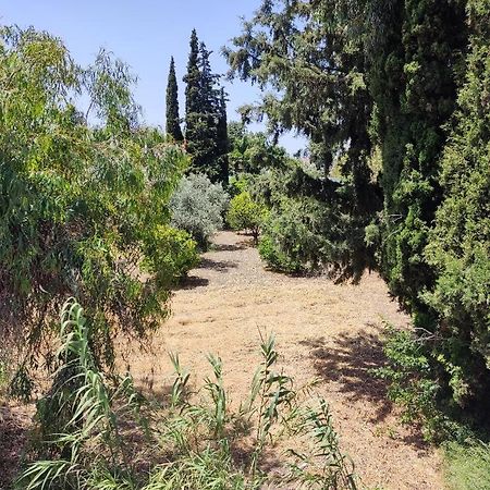Callas Residence イアリソス エクステリア 写真