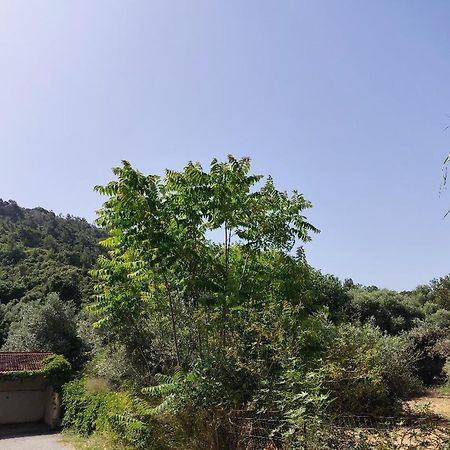 Callas Residence イアリソス エクステリア 写真