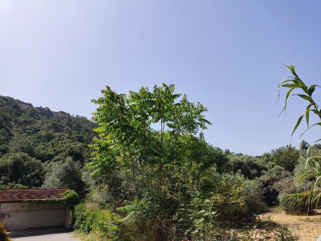 Callas Residence イアリソス エクステリア 写真